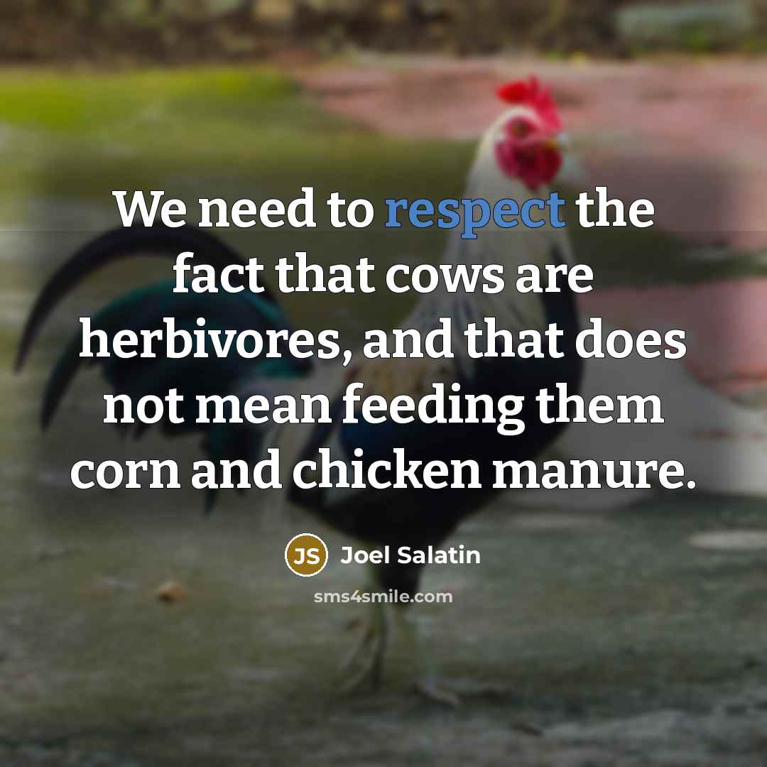 “We need to respect the fact that cows are herbivores,…” quote by Joel Salatin