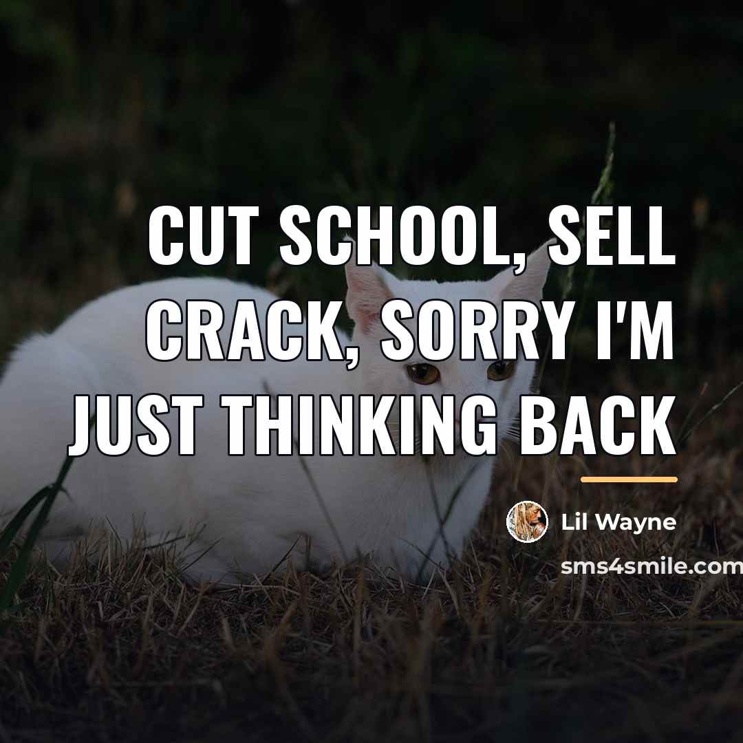 “Cut school, sell crack, sorry I'm just thinking back…” quote by Lil Wayne