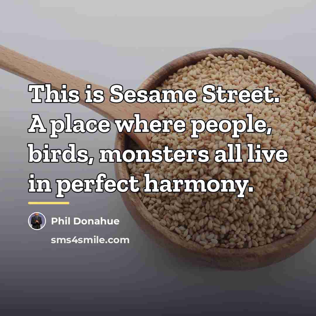 “This is Sesame Street. A place where people, birds, monsters…” quote by Phil Donahue