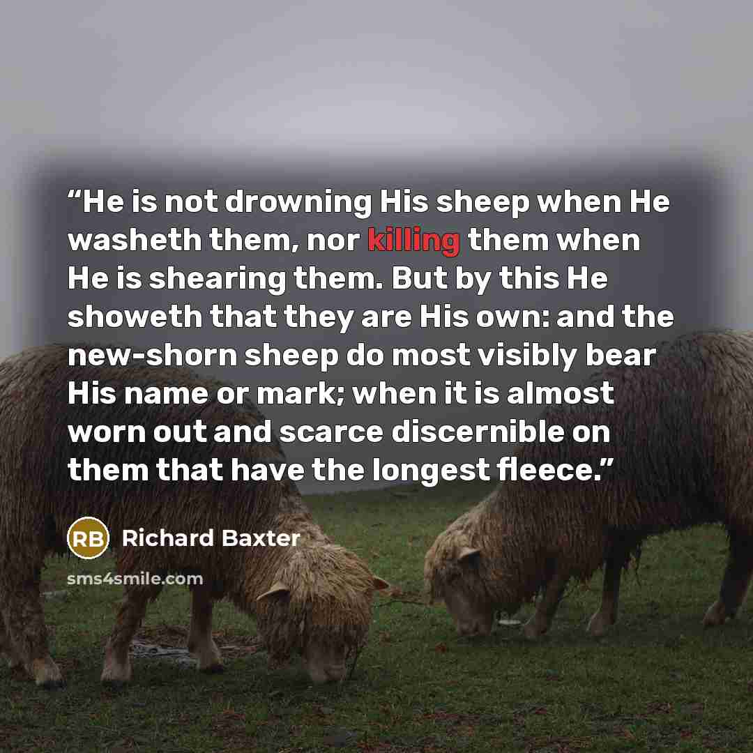 “He is not drowning His sheep when He washeth them, nor killing them when He is shearing them. But by this He showeth that they are His own: and the new-shorn sheep do most visibly bear His name or mark; when it is almost worn out and scarce discernible on them that have the longest fleece.” quote by Richard Baxter