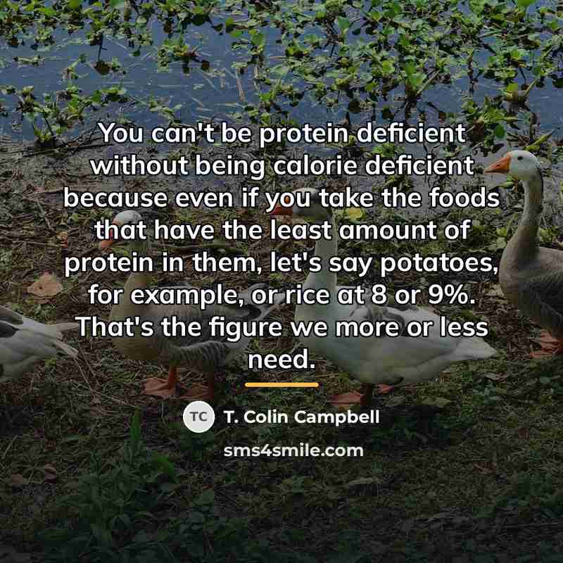 “You can't be protein deficient without being calorie deficient because…” quote by T. Colin Campbell