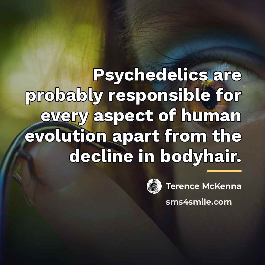 “Psychedelics are probably responsible for every aspect of human evolution…” quote by Terence McKenna