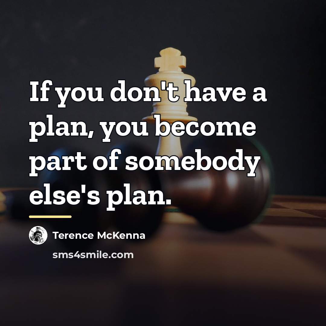 “If you don't have a plan, you become part of…” quote by Terence McKenna