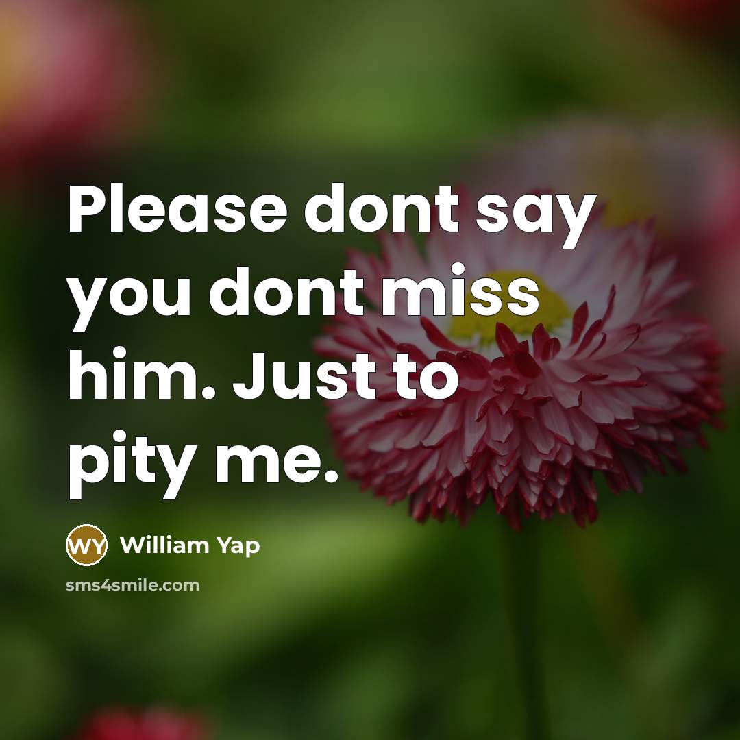 “Please dont say you dont miss him. Just to pity…” quote by William Yap