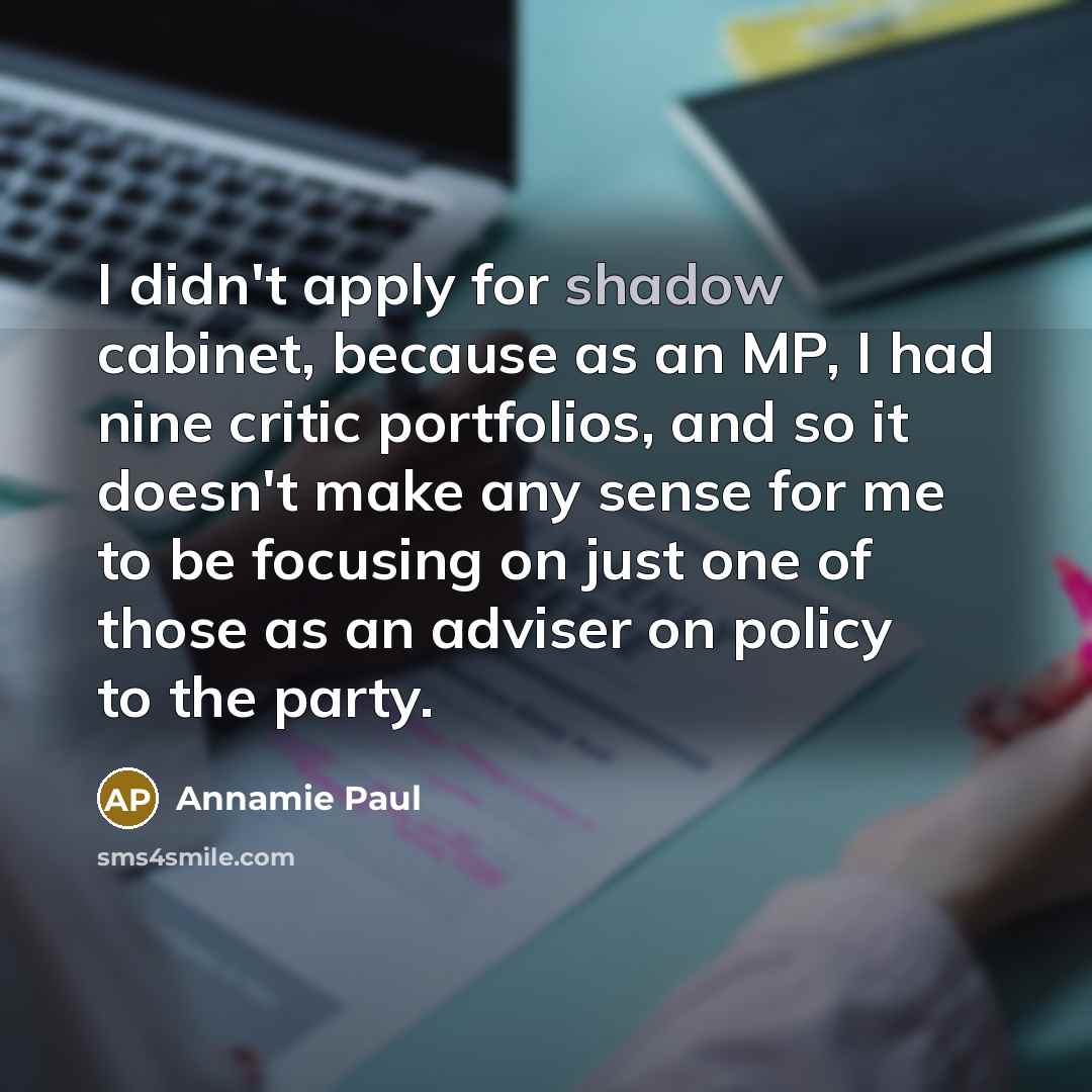 “I didn't apply for shadow cabinet, because as an MP,…” quote by Annamie Paul