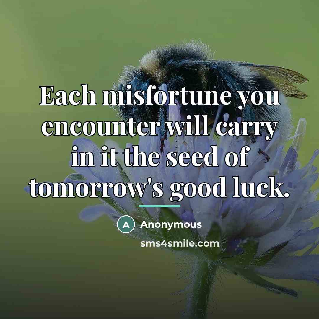 “Each misfortune you encounter will carry in it the seed…” quote by Anonymous