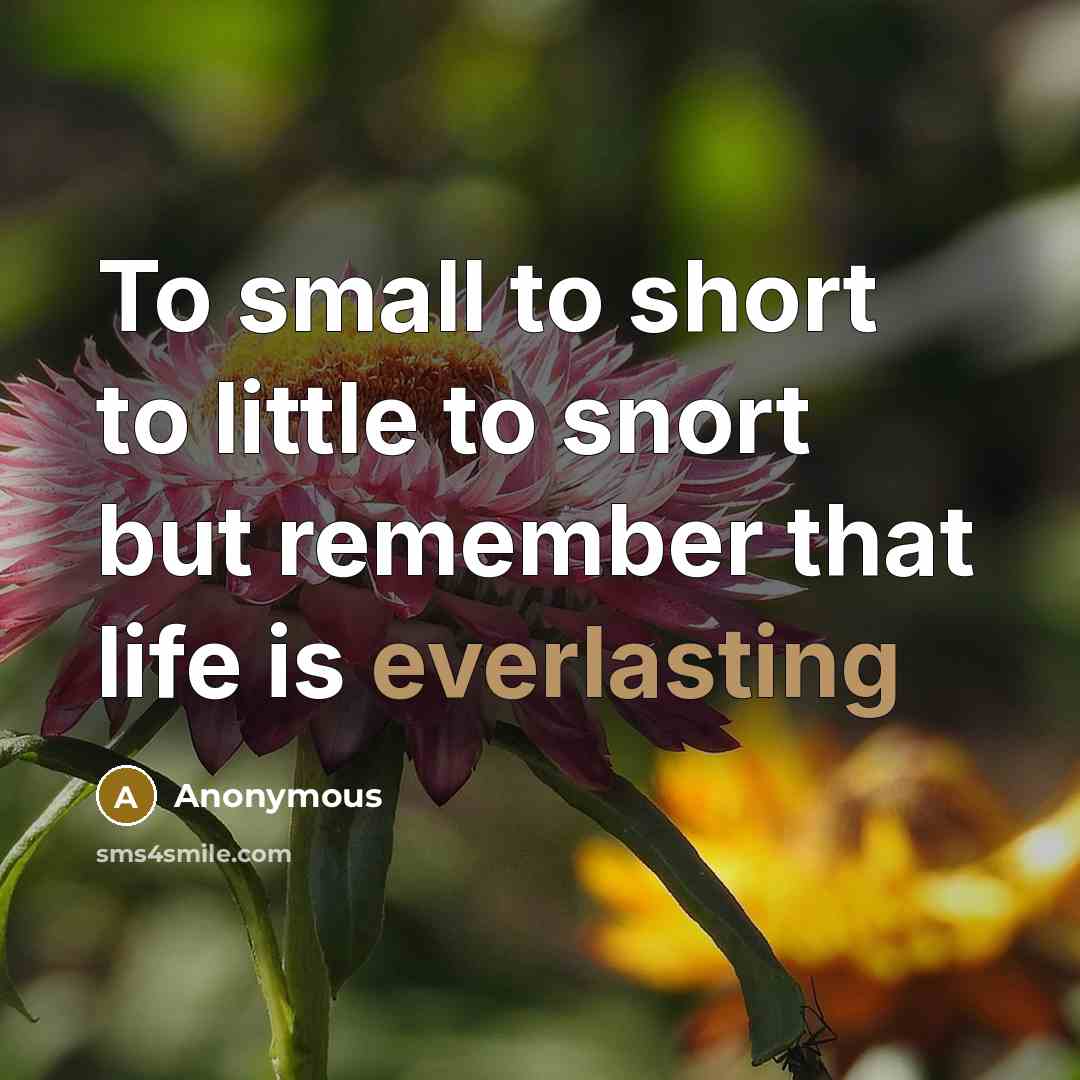 “To small to short to little to snort but remember that life is everlasting” quote by Anonymous