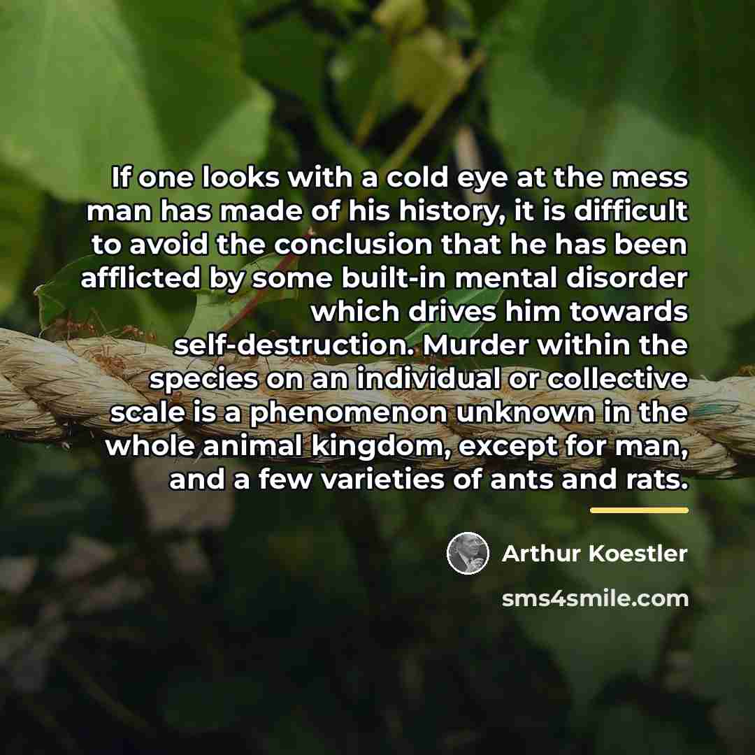 “If one looks with a cold eye at the mess…” quote by Arthur Koestler