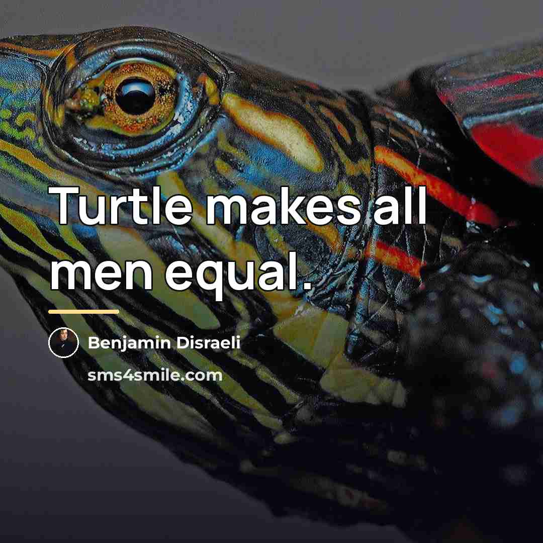“Turtle makes all men equal.…” quote by Benjamin Disraeli