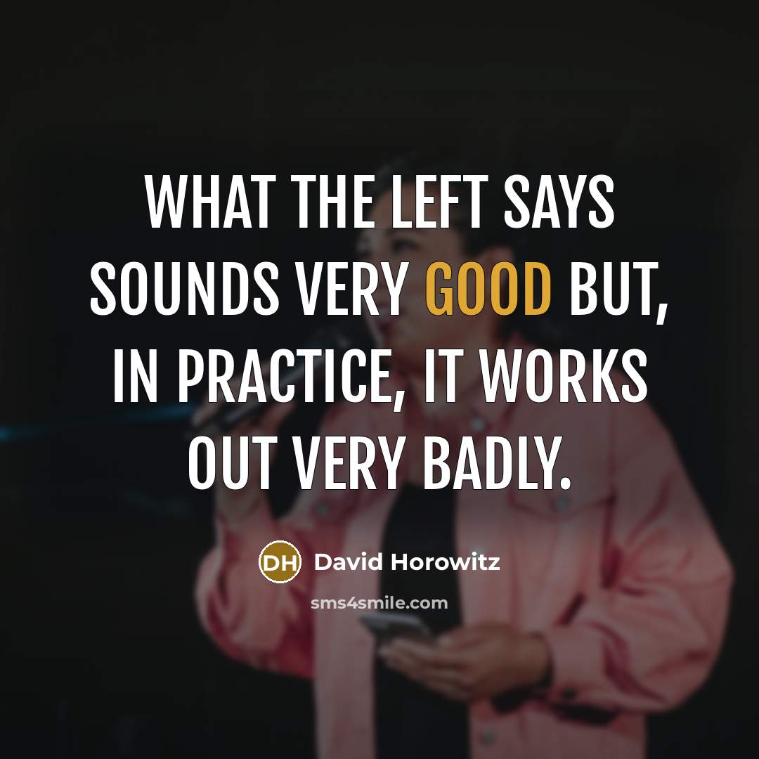 “What the left says sounds very good but, in practice,…” quote by David Horowitz