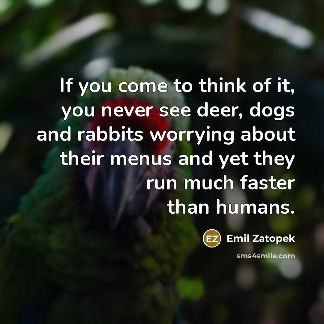 “If you come to think of it, you never see deer, dogs and rabbits worrying about their menus and yet they run much faster than humans.” quote by Emil Zatopek