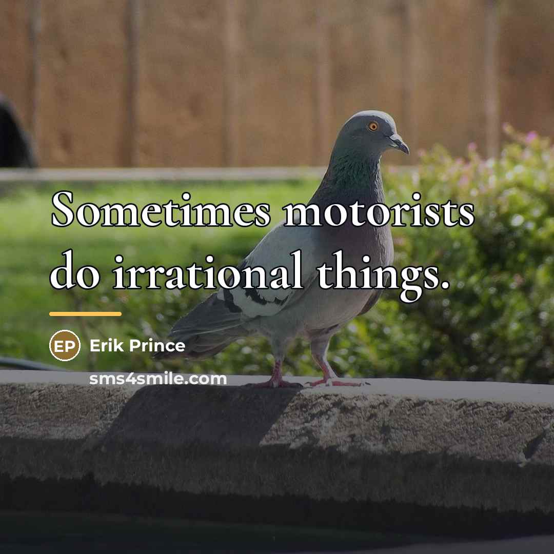 “Sometimes motorists do irrational things.…” quote by Erik Prince