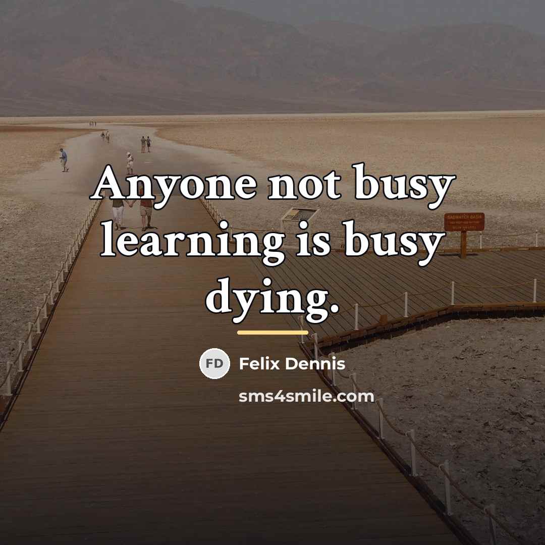 “Anyone not busy learning is busy dying.…” quote by Felix Dennis