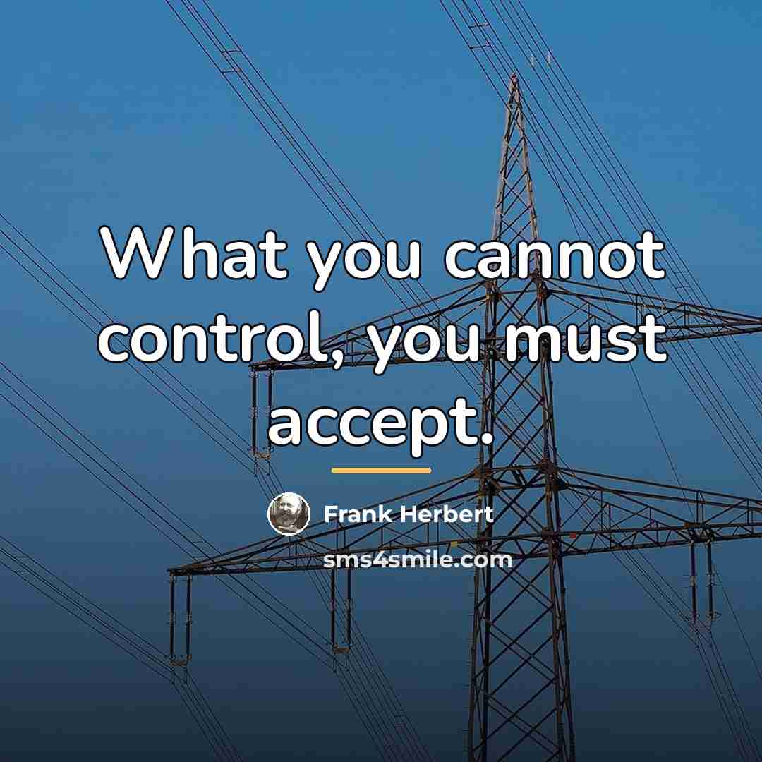 “What you cannot control, you must accept.…” quote by Frank Herbert
