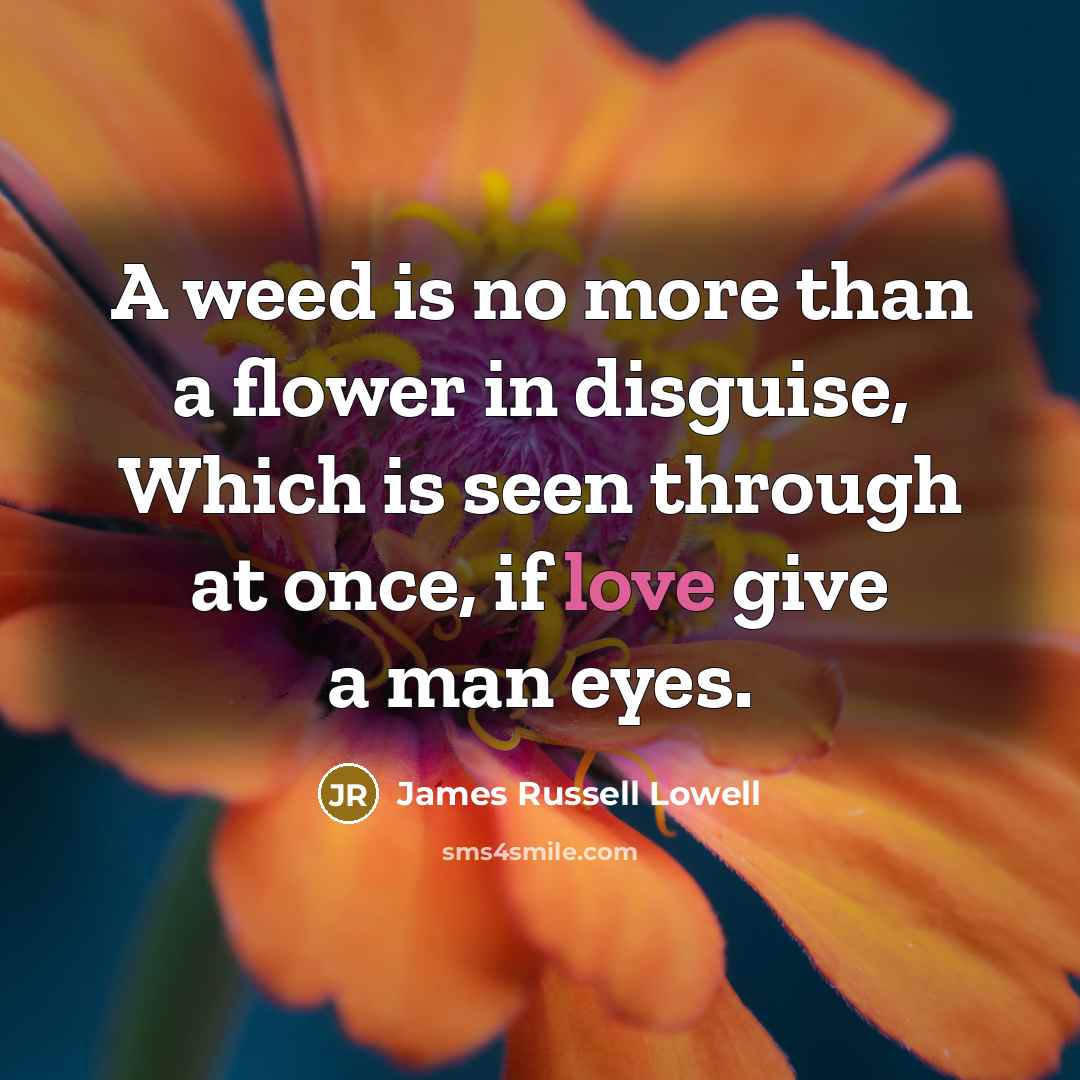 “A weed is no more than a flower in disguise,…” quote by James Russell Lowell