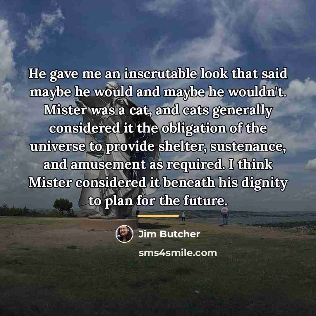 “He gave me an inscrutable look that said maybe he…” quote by Jim Butcher