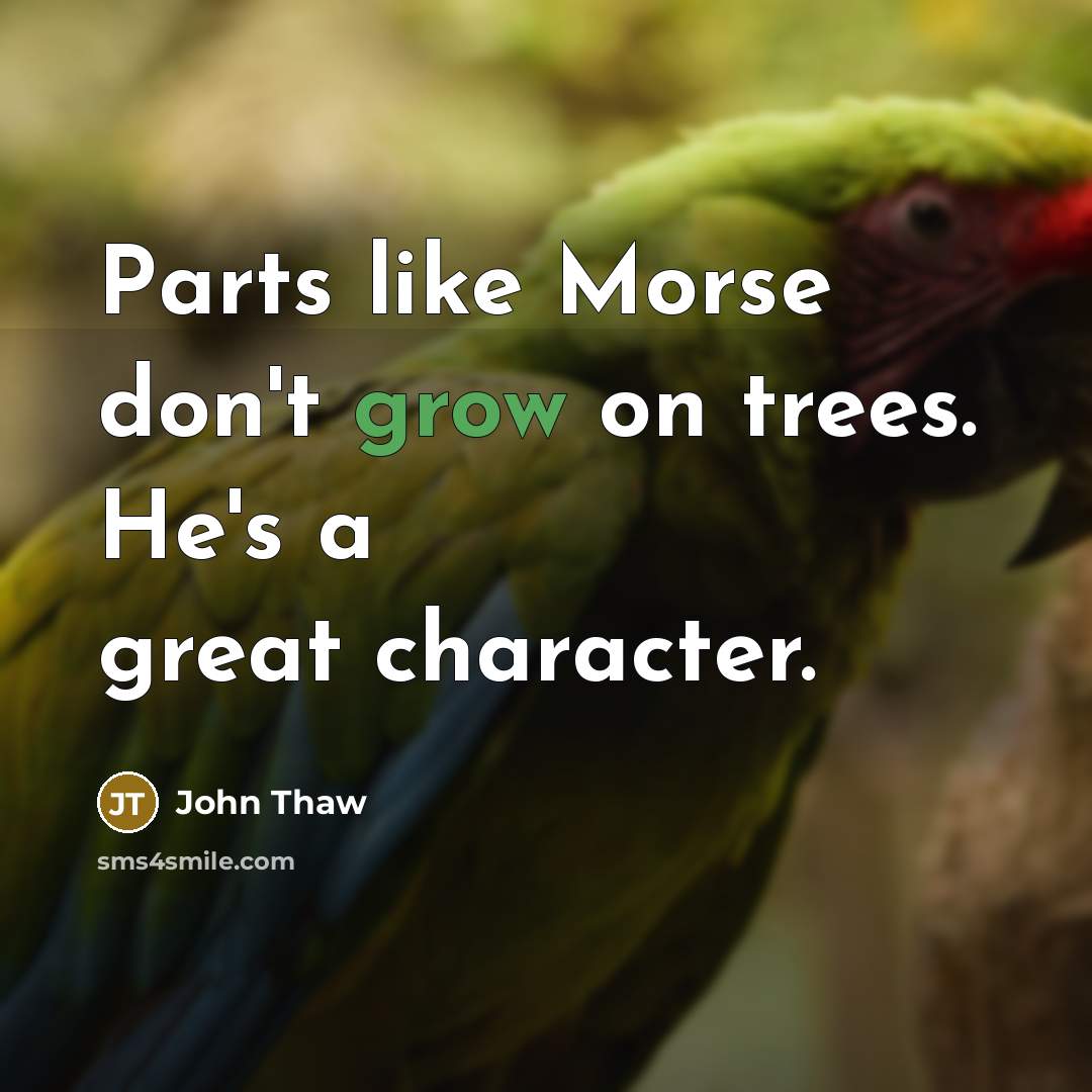 “Parts like Morse don't grow on trees. He's a great…” quote by John Thaw