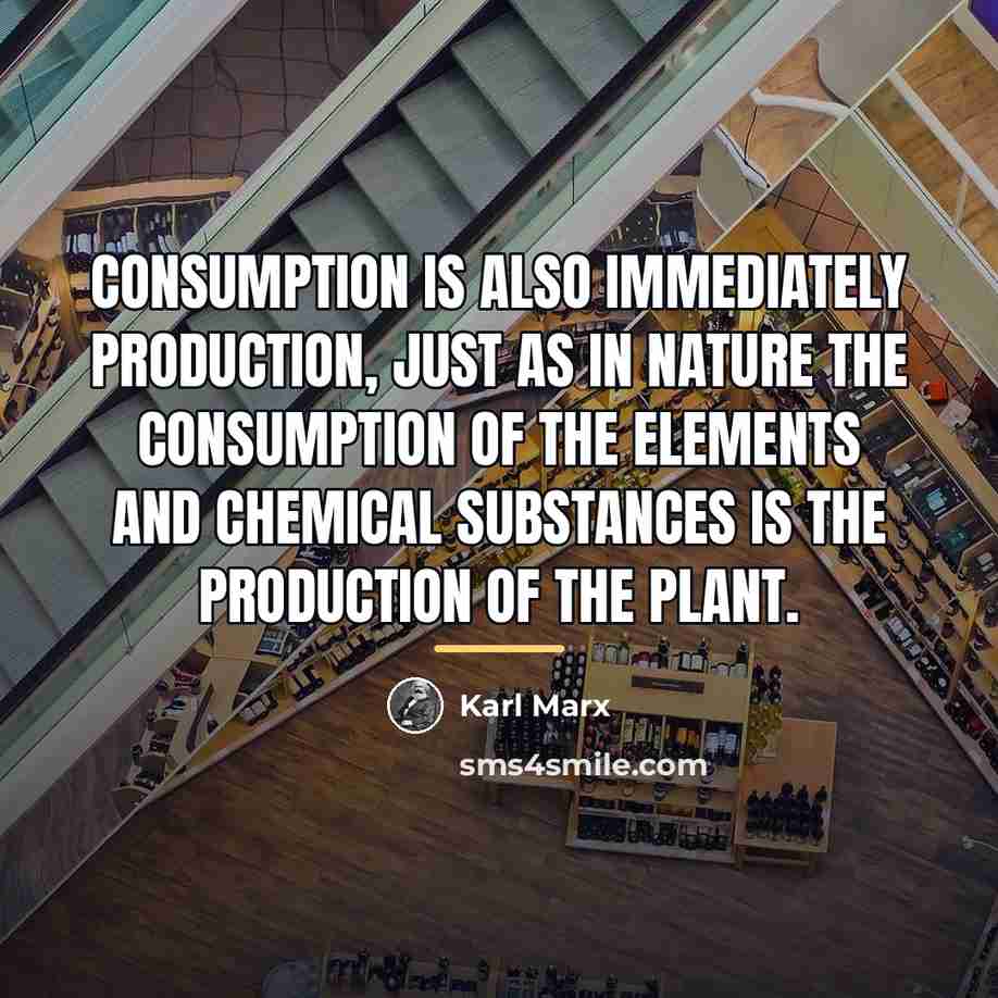 “Consumption is also immediately production, just as in nature the…” quote by Karl Marx