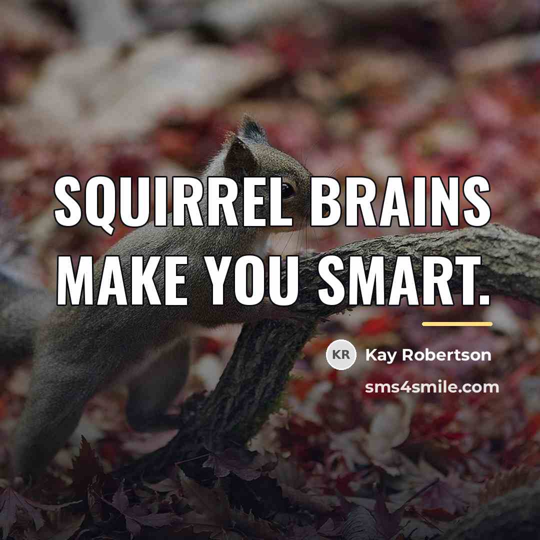 “Squirrel brains make you smart.…” quote by Kay Robertson