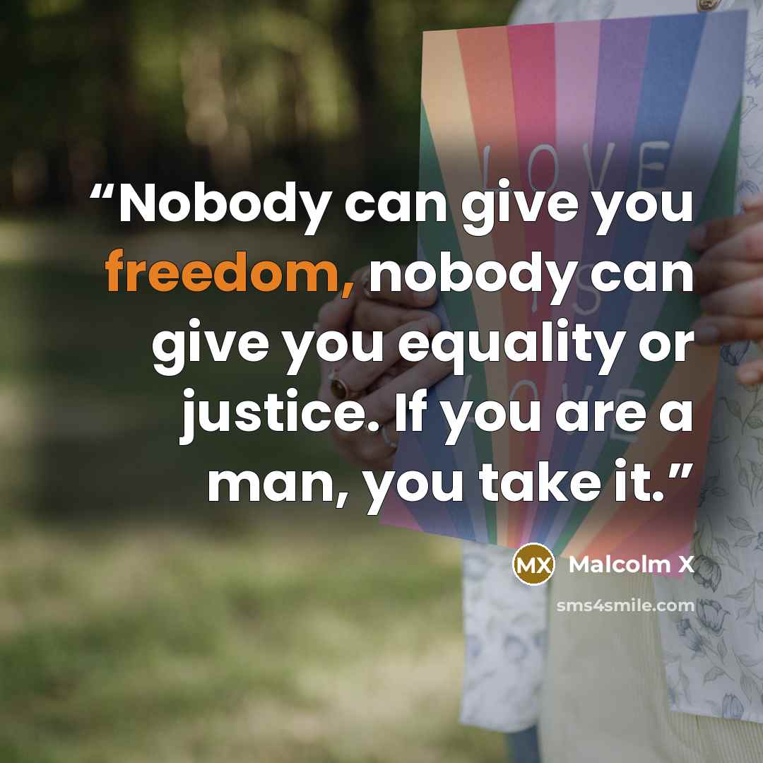 “Nobody can give you freedom, nobody can give you equality or justice. If you are a man, you take it.” quote by Malcolm X