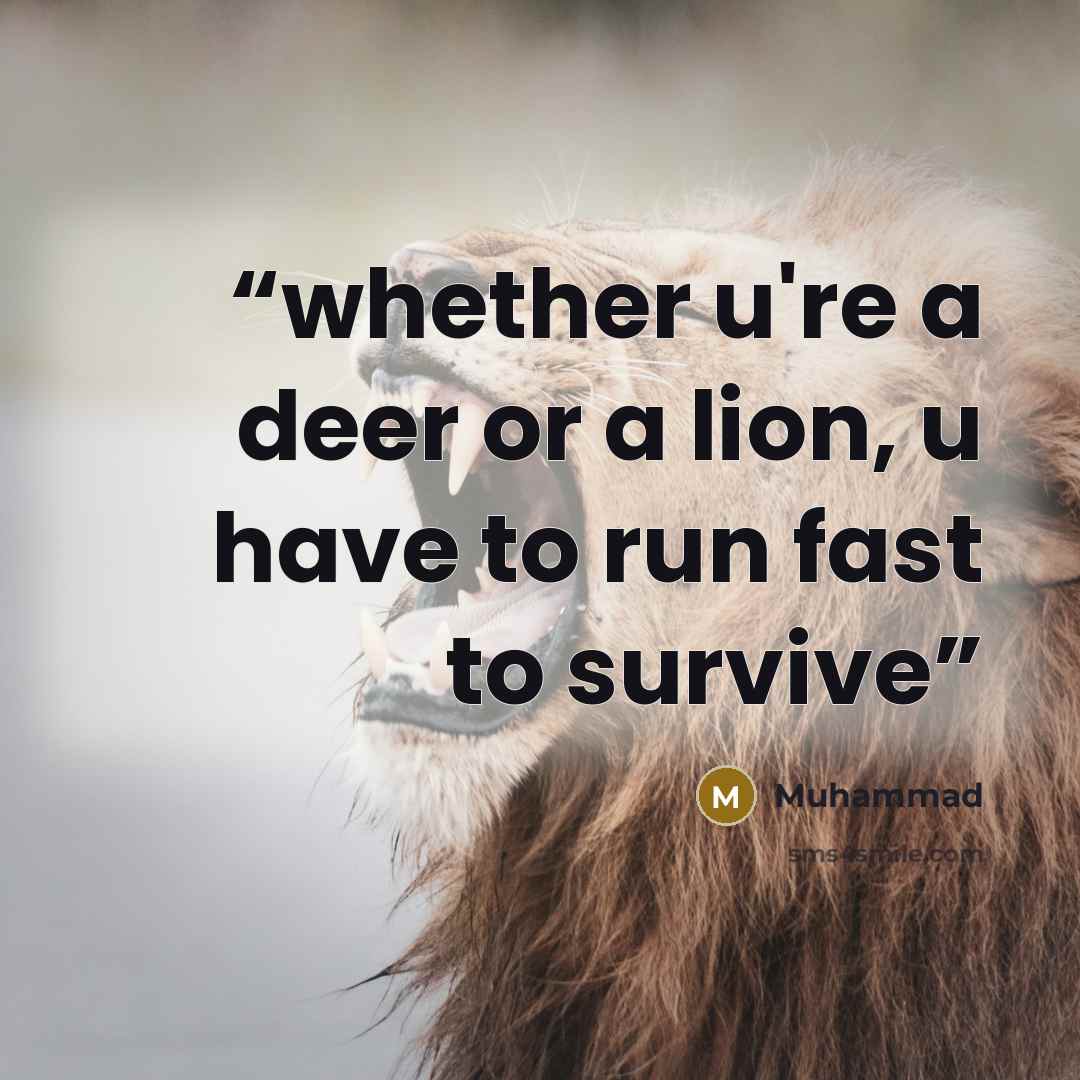 “whether u're a deer or a lion, u have to run fast to survive” quote by muhammad