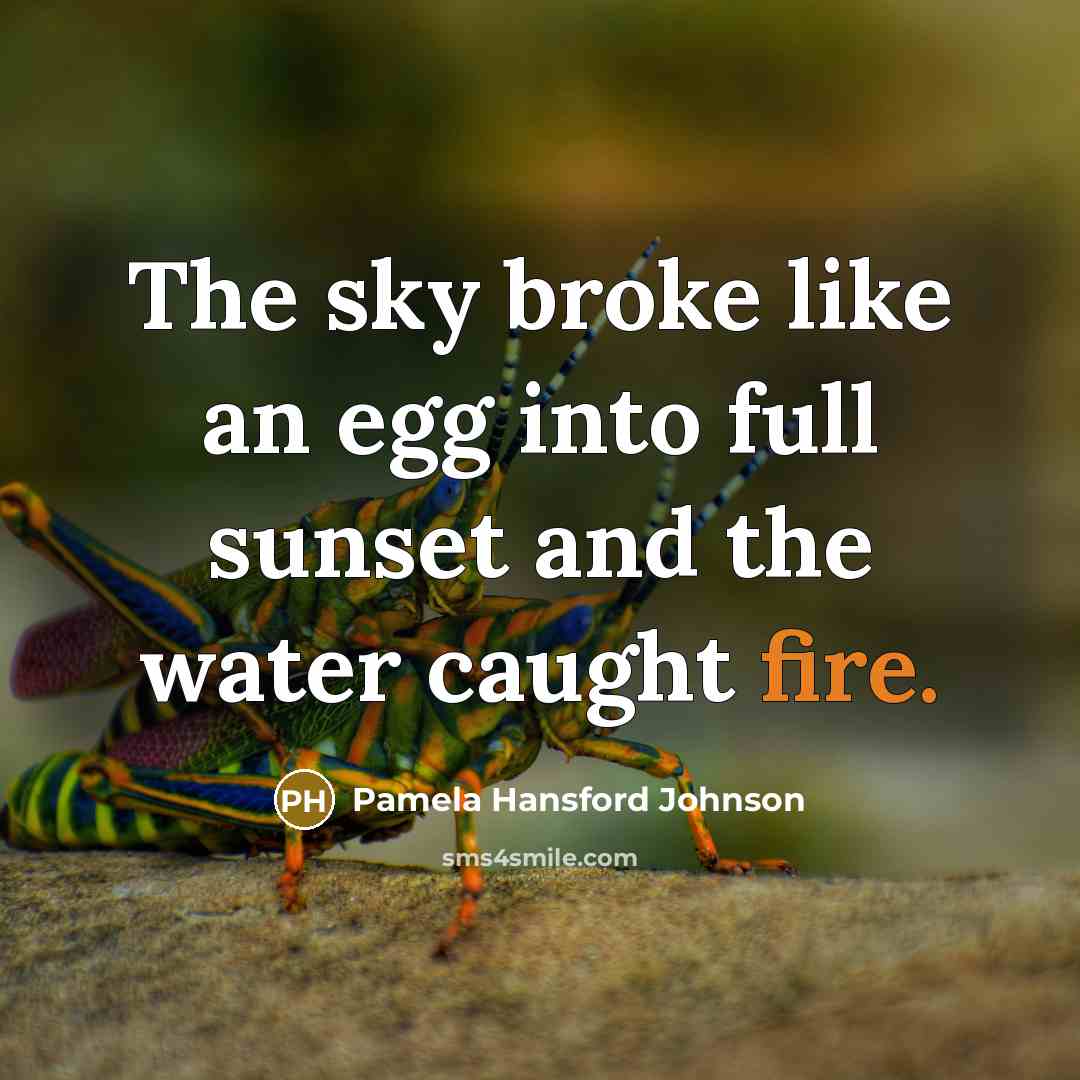 “The sky broke like an egg into full sunset and…” quote by Pamela Hansford Johnson