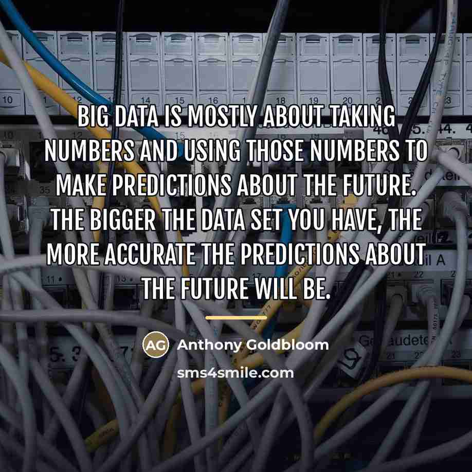 “Big data is mostly about taking numbers and using those…” quote by Anthony Goldbloom