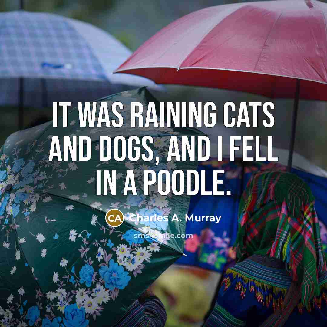 “It was raining cats and dogs, and I fell in…” quote by Charles A. Murray
