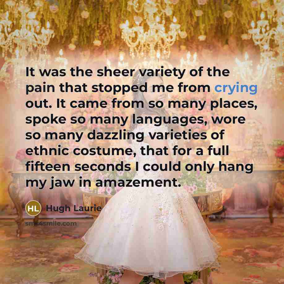 “It was the sheer variety of the pain that stopped…” quote by Hugh Laurie