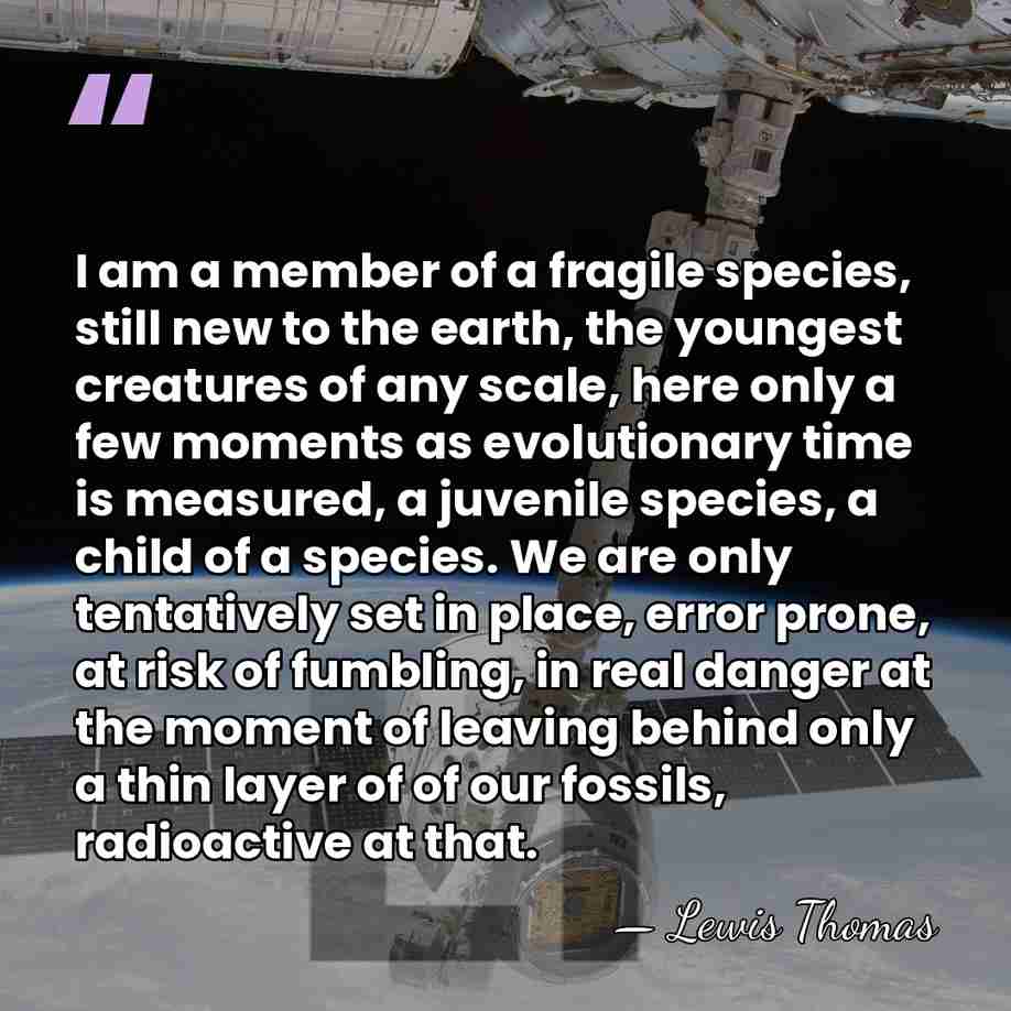 I am a member of a fragile species, still new to the&hellip; - Lewis Thomas