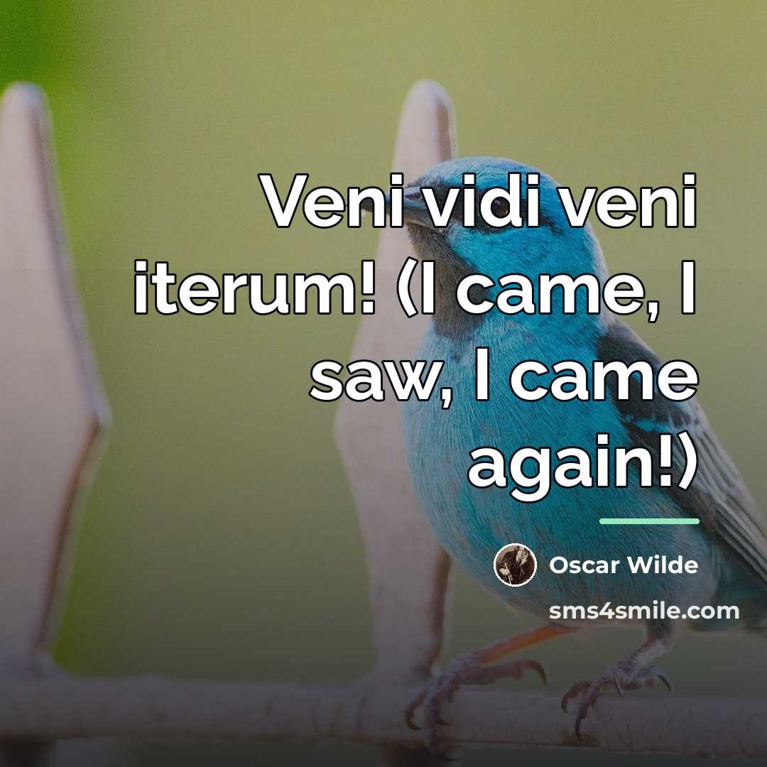 “Veni vidi veni iterum! (I came, I saw, I came…” quote by Oscar Wilde