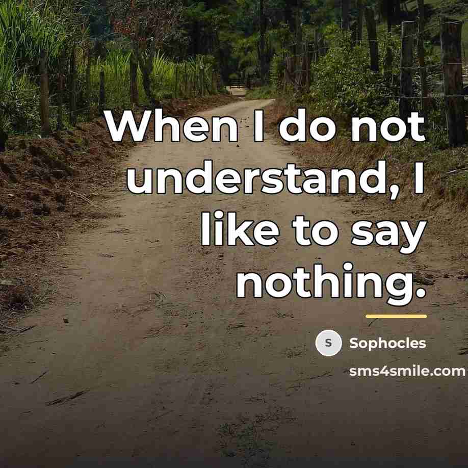 “When I do not understand, I like to say nothing.…” quote by Sophocles