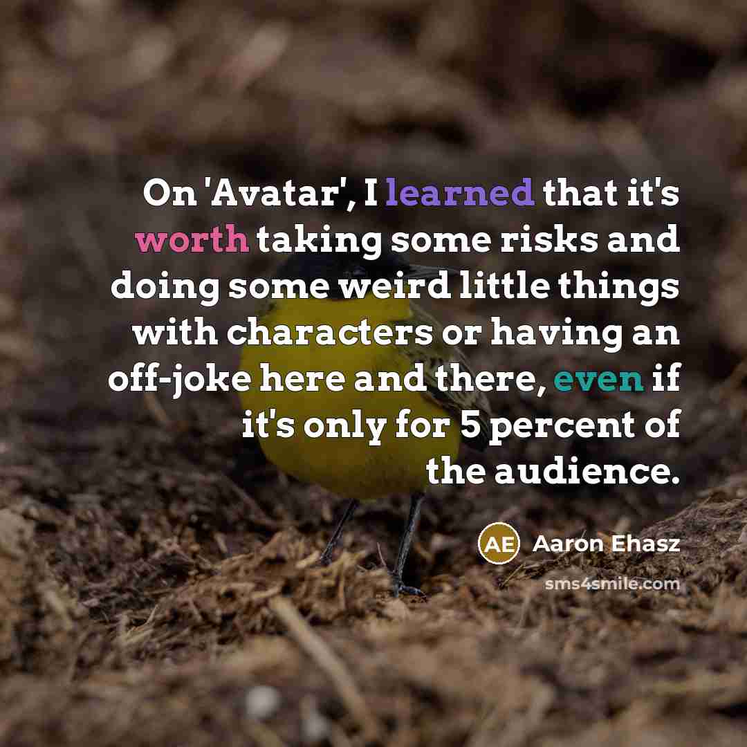 “On 'Avatar', I learned that it's worth taking some risks and doing some weird little things with characters or having an off-joke here and there, even if it's only for 5 percent of the audience.” quote by Aaron Ehasz