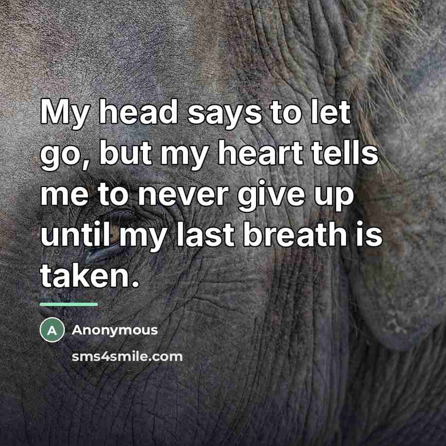 “My head says to let go, but my heart tells…” quote by Anonymous