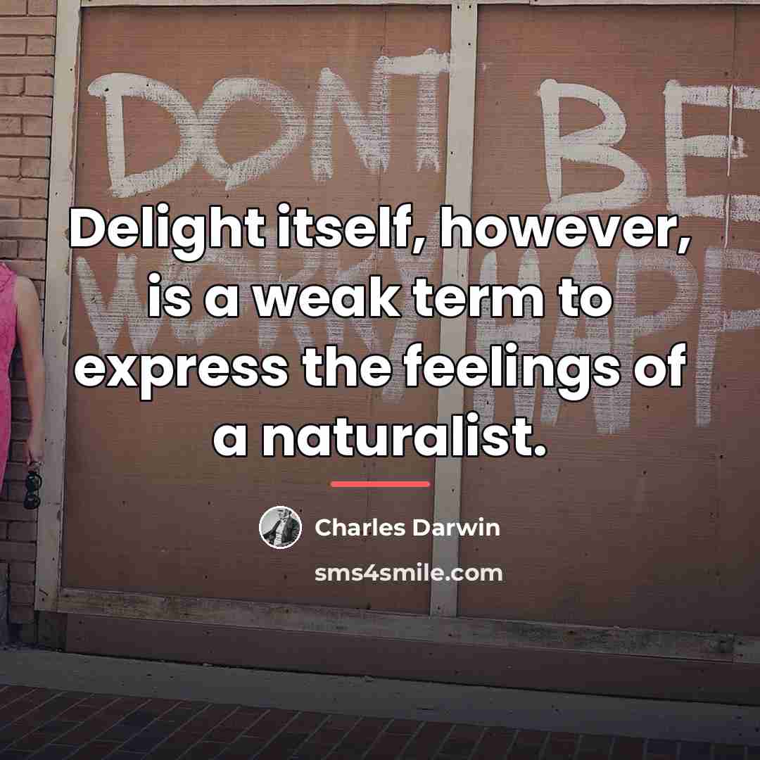 “Delight itself, however, is a weak term to express the…” quote by Charles Darwin