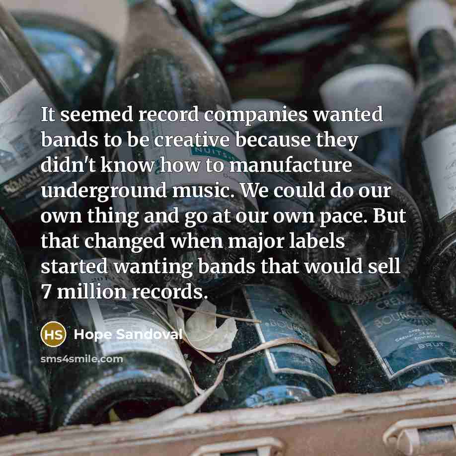 “It seemed record companies wanted bands to be creative because…” quote by Hope Sandoval