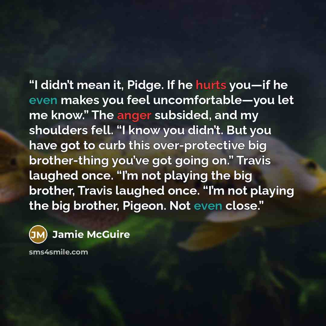“I didn’t mean it, Pidge. If he hurts you—if he even makes you feel uncomfortable—you let me know.” The anger subsided, and my shoulders fell. “I know you didn’t. But you have got to curb this over-protective big brother-thing you’ve got going on.” Travis laughed once. “I’m not playing the big…” quote by Jamie McGuire
