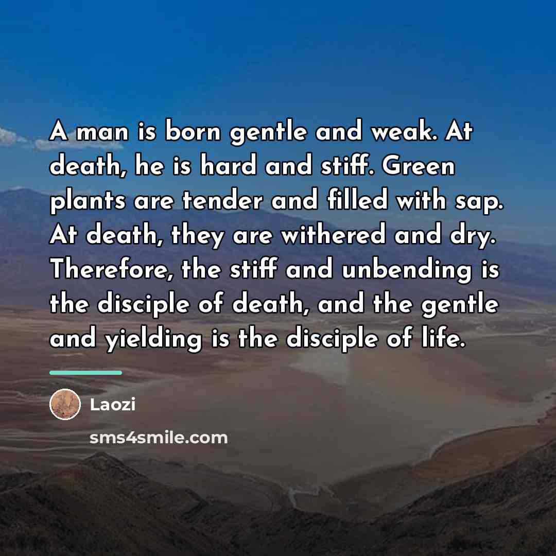 “A man is born gentle and weak. At death, he…” quote by Laozi