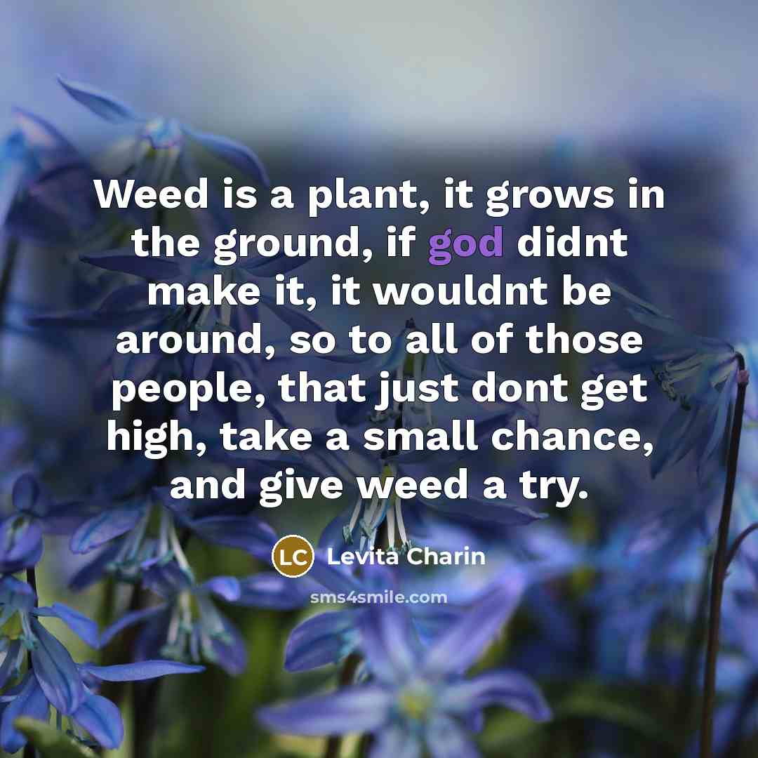 “Weed is a plant, it grows in the ground, if…” quote by Levita Charin