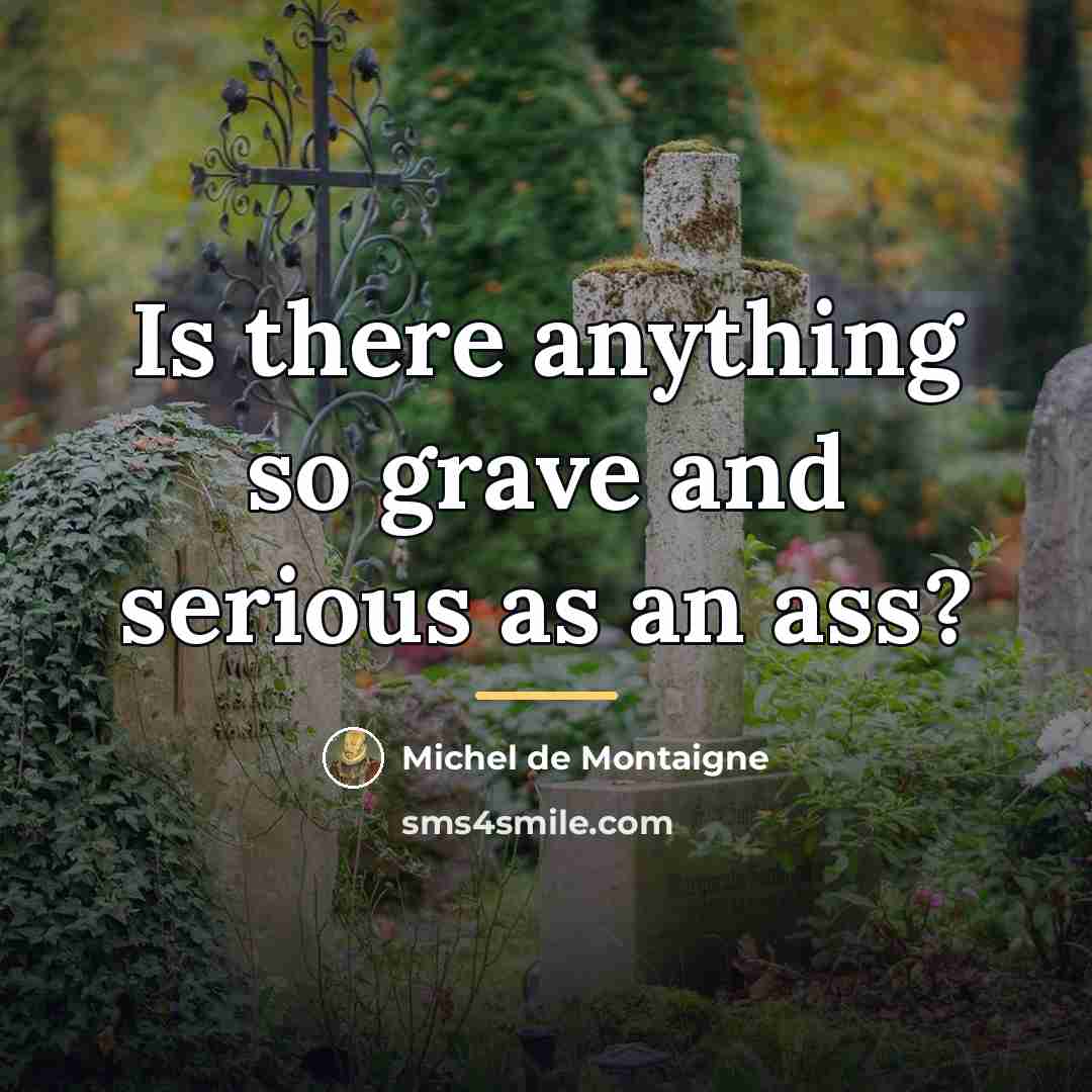 “Is there anything so grave and serious as an ass?…” quote by Michel de Montaigne