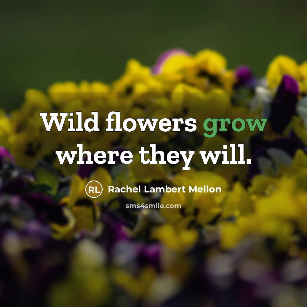 “Wild flowers grow where they will.…” quote by Rachel Lambert Mellon