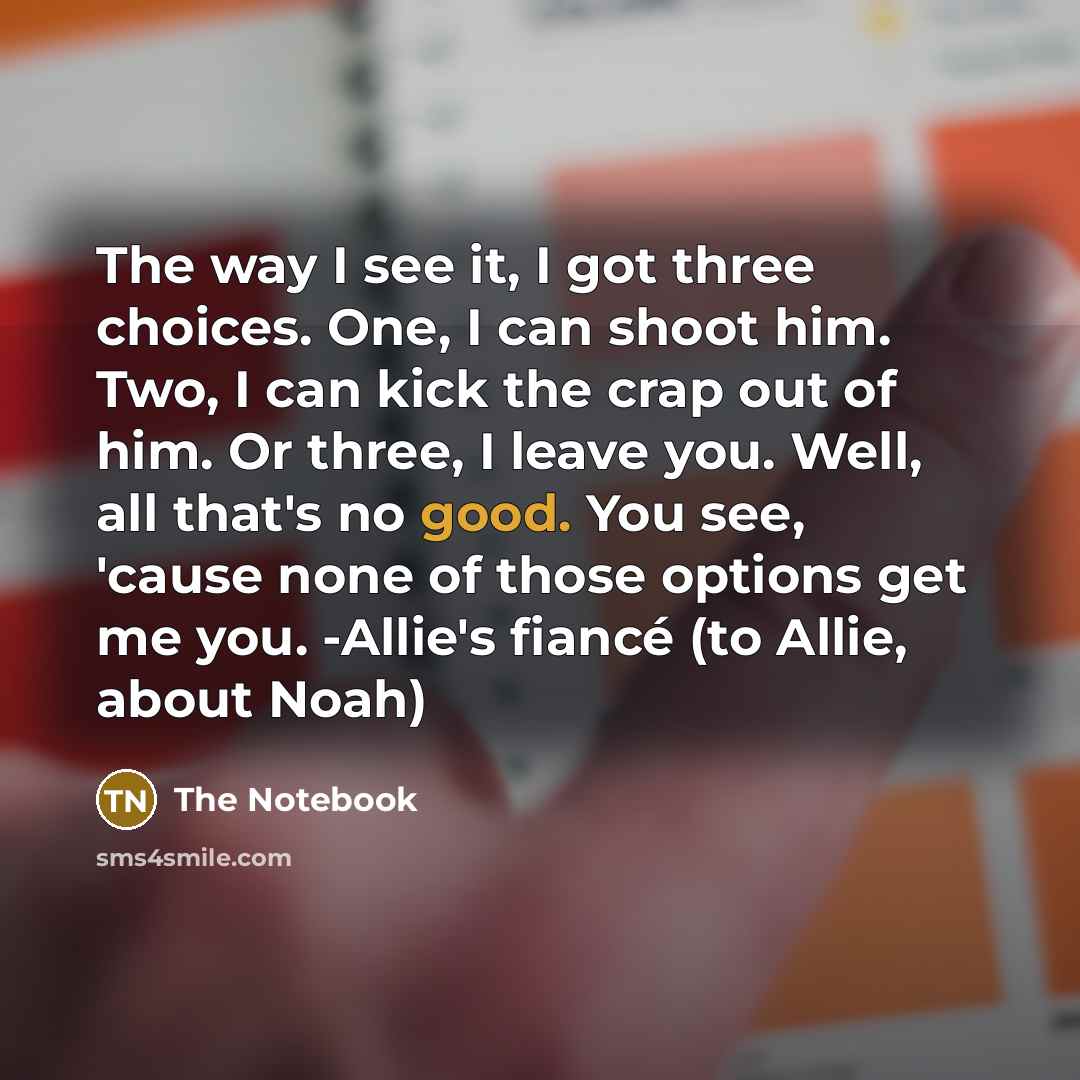 “The way I see it, I got three choices. One, I can shoot him. Two, I can kick the crap out of him. Or three, I leave you. Well, all that's no good. You see, 'cause none of those options get me you. -Allie's fiancé (to Allie, about Noah)” quote by The Notebook