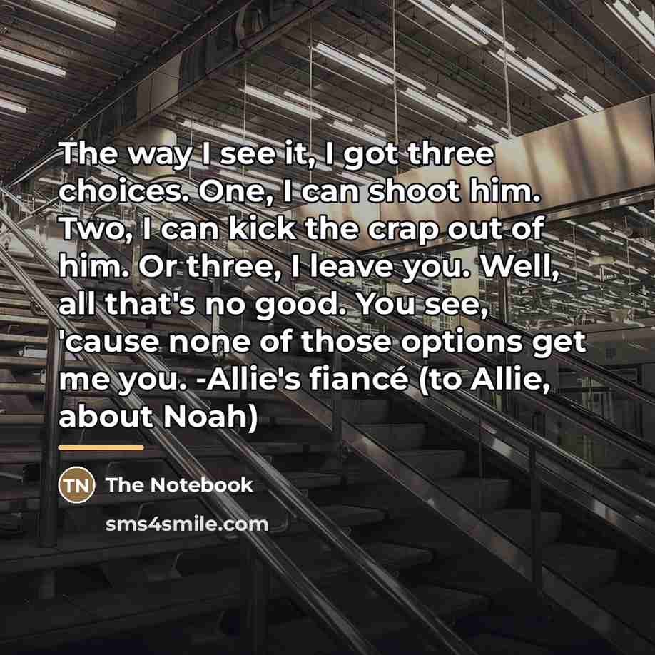 “The way I see it, I got three choices. One,…” quote by The Notebook
