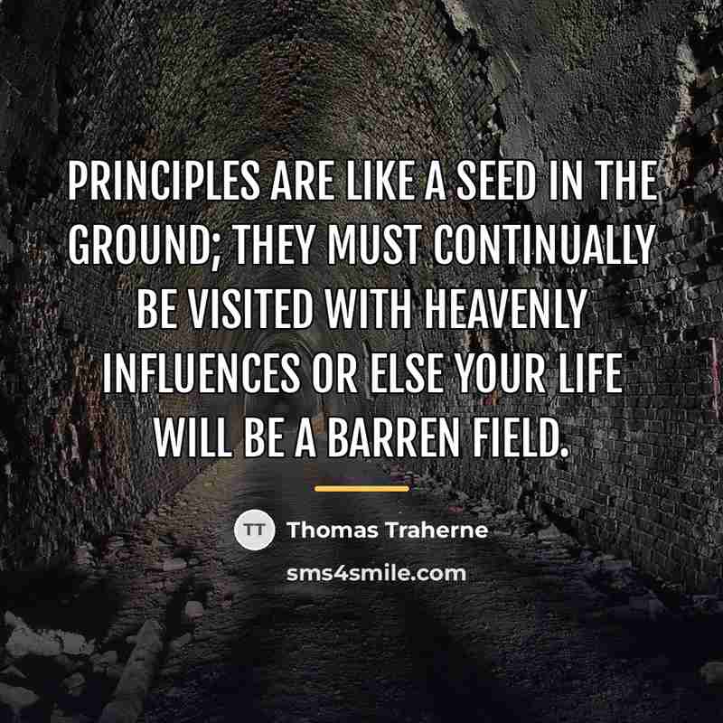 “Principles are like a seed in the ground; they must…” quote by Thomas Traherne