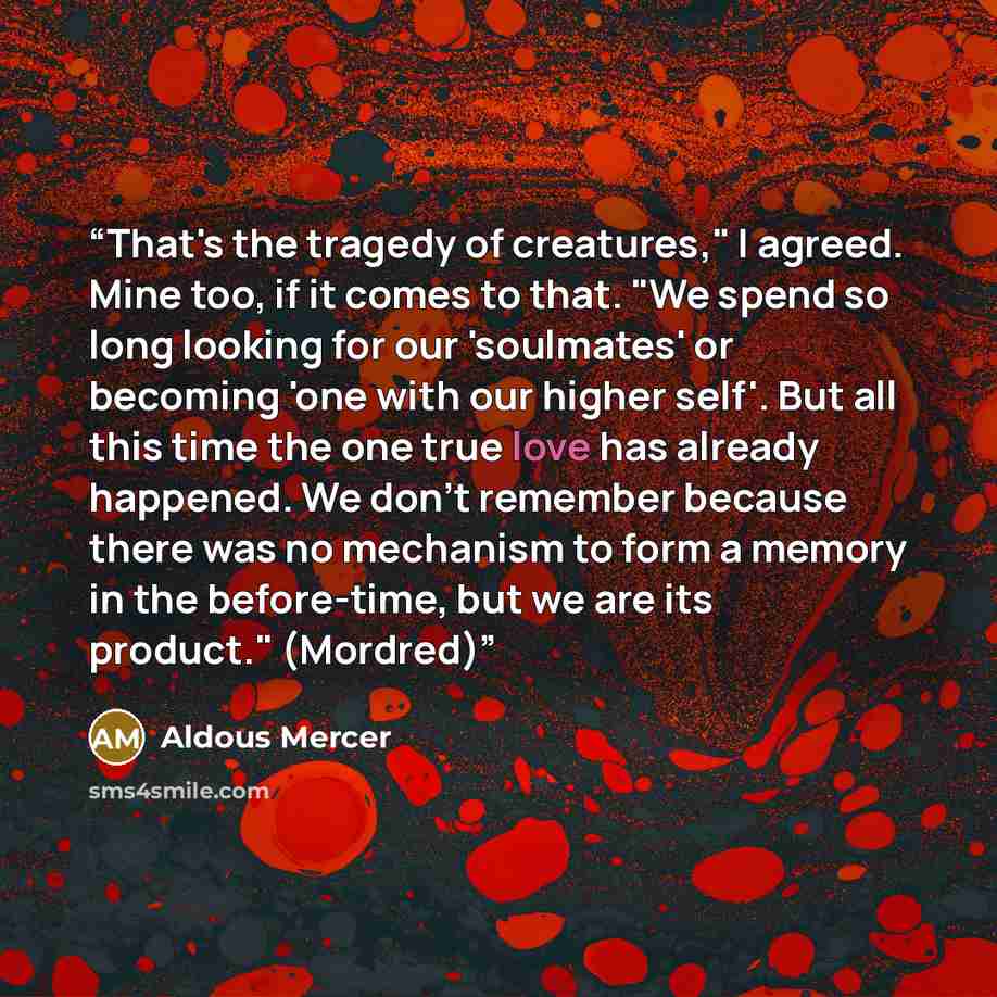 “That's the tragedy of creatures," I agreed. Mine too, if it comes to that. "We spend so long looking for our 'soulmates' or becoming 'one with our higher self'. But all this time the one true love has already happened. We don't remember because there was no mechanism to form a memory in the…” quote by Aldous Mercer