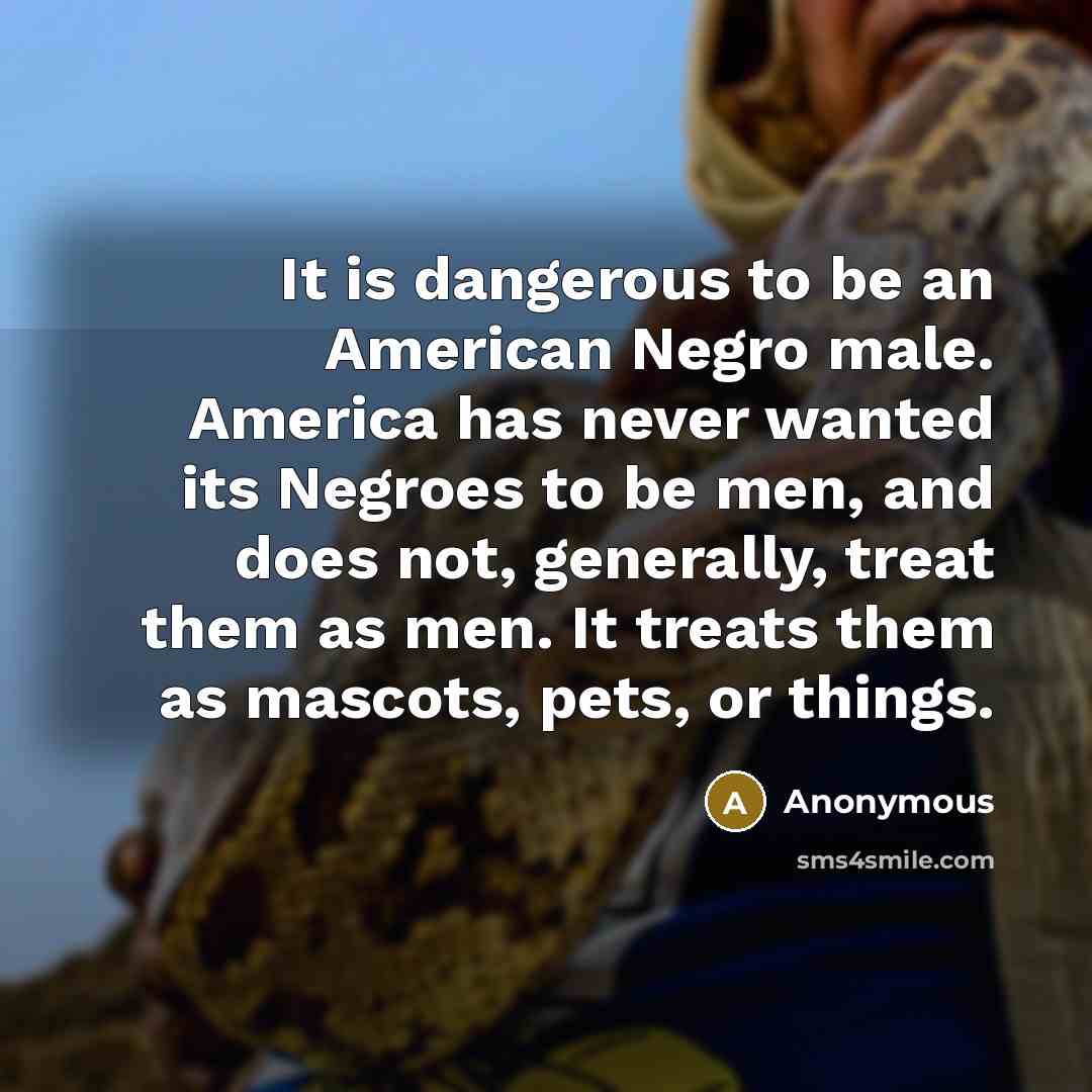 “It is dangerous to be an American Negro male. America…” quote by Anonymous