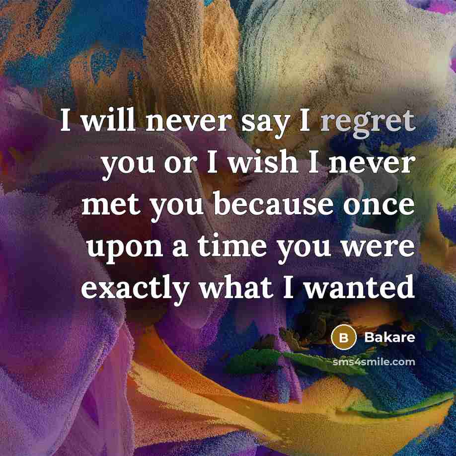 “I will never say I regret you or I wish I never met you because once upon a time you were exactly what I wanted” quote by Bakare