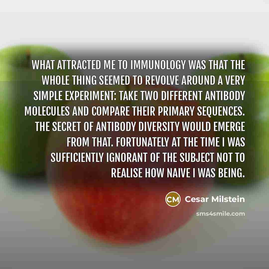 “What attracted me to immunology was that the whole thing…” quote by Cesar Milstein