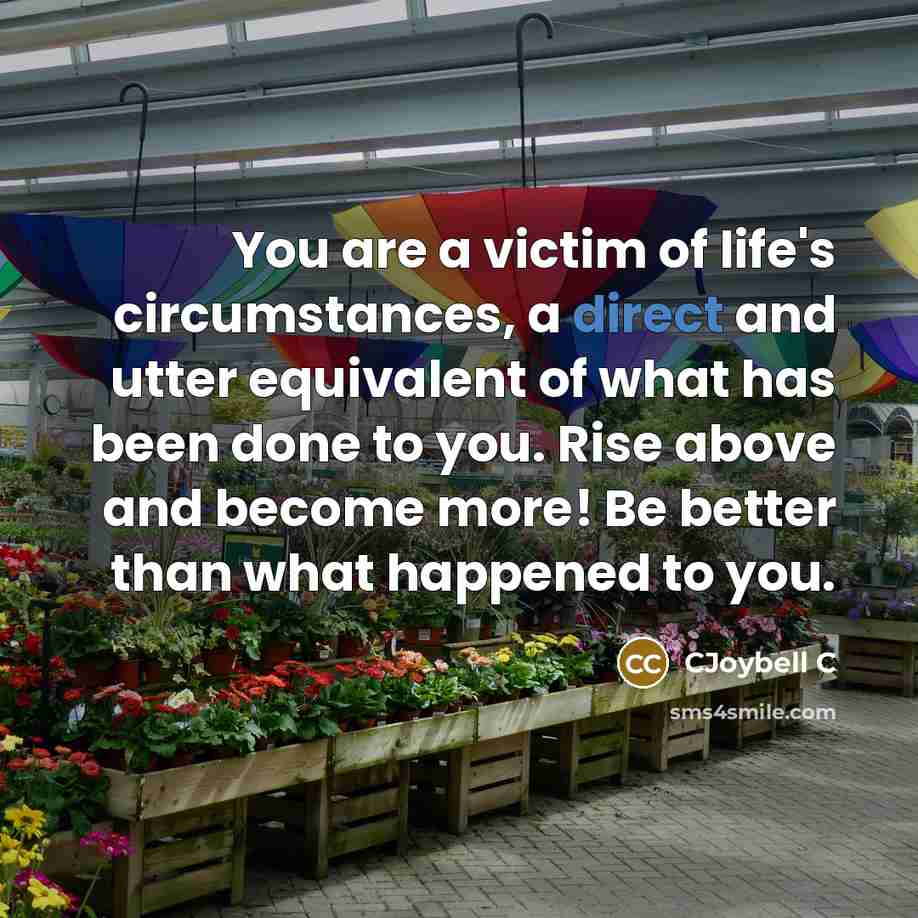 “You are a victim of life's circumstances, a direct and…” quote by CJoybell C