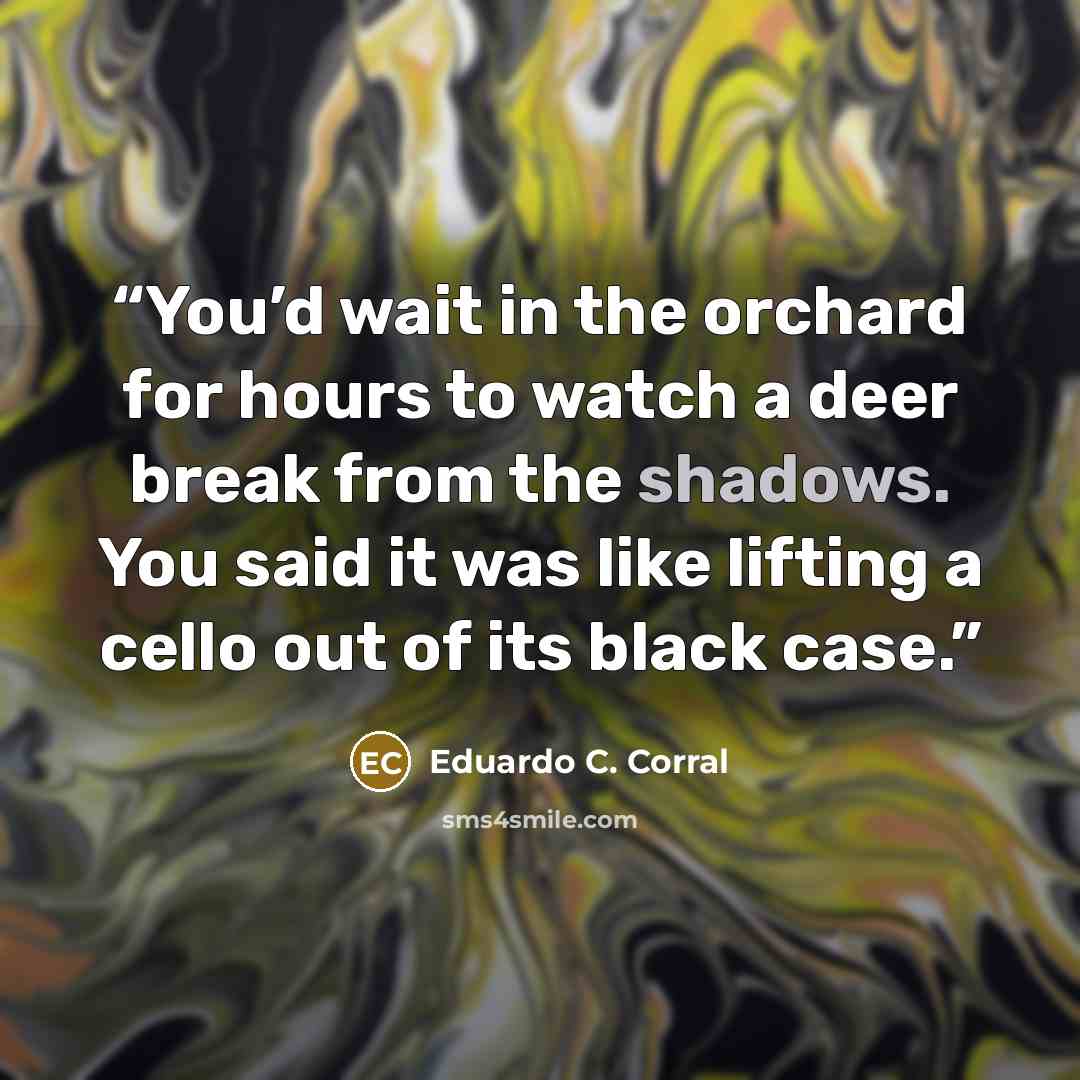 “You’d wait in the orchard for hours to watch a deer break from the shadows. You said it was like lifting a cello out of its black case.” quote by Eduardo C. Corral